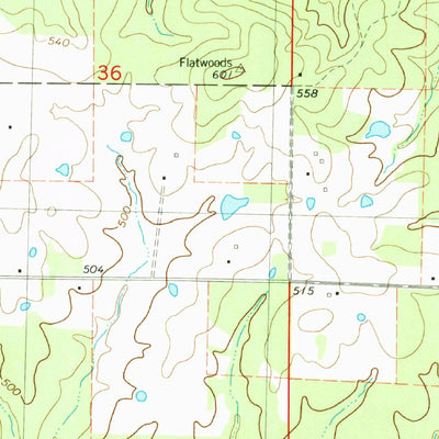 United States Geological Survey Flatwoods, MO (1979, 24000-Scale) digital map