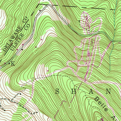 United States Geological Survey Fleischmanns, NY (1945, 24000-Scale) digital map