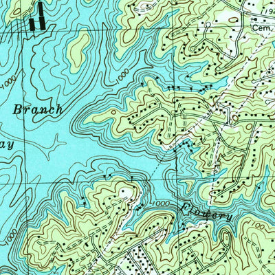 United States Geological Survey Flowery Branch, GA (1999, 24000-Scale) digital map