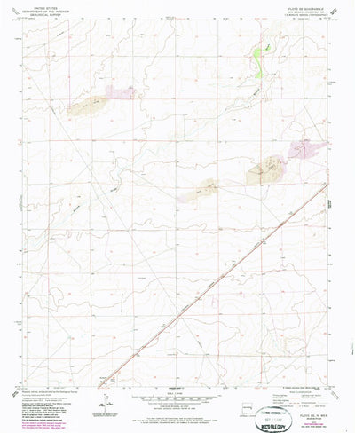 United States Geological Survey Floyd SE, NM (1973, 24000-Scale) digital map