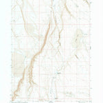 United States Geological Survey Flybee Lake, OR (1980, 24000-Scale) digital map