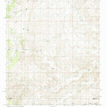 United States Geological Survey Flying H NW, NM (1989, 24000-Scale) digital map