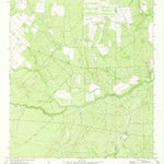 United States Geological Survey Flying W Ranch, TX (1974, 24000-Scale) digital map