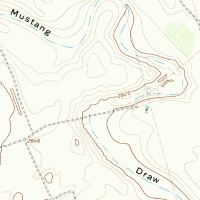 United States Geological Survey Flynt Ranch, TX (1966, 24000-Scale) digital map