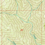 United States Geological Survey Fog Mountain, ID (1995, 24000-Scale) digital map