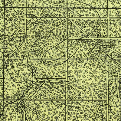 United States Geological Survey Foley, AL-FL (1921, 62500-Scale) digital map