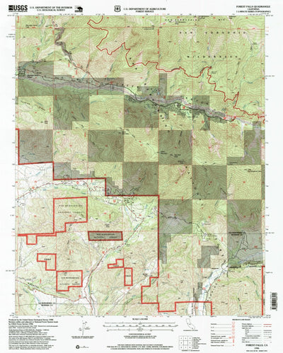 United States Geological Survey Forest Falls, CA (1996, 24000-Scale) digital map