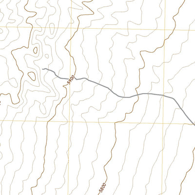 United States Geological Survey Forest Home NE, NV (2021, 24000-Scale) digital map