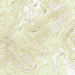 United States Geological Survey Forest Home NE, NV (2021, 24000-Scale) digital map