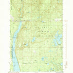United States Geological Survey Forest Lake, MI (1985, 24000-Scale) digital map