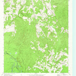 United States Geological Survey Forest, TX (1973, 24000-Scale) digital map