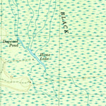 United States Geological Survey Foreston, SC (1979, 24000-Scale) digital map