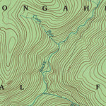 United States Geological Survey Fork Mountain, WV (1995, 24000-Scale) digital map