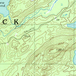 United States Geological Survey Forked Lake, NY (1997, 25000-Scale) digital map