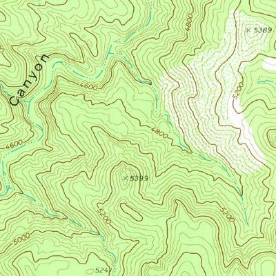 United States Geological Survey Forks Butte, AZ (1978, 24000-Scale) digital map