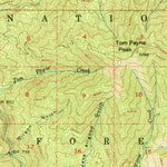 United States Geological Survey Forks Of Salmon, CA (1955, 62500-Scale) digital map