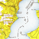 United States Geological Survey Fort Barrancas, FL-AL (1941, 62500-Scale) digital map