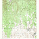 United States Geological Survey Fort Bayard, NM (1947, 24000-Scale) digital map
