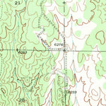 United States Geological Survey Fort Bayard, NM (1947, 24000-Scale) digital map