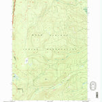 United States Geological Survey Fort Butte, OR (1996, 24000-Scale) digital map