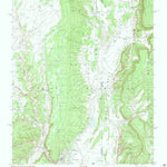 United States Geological Survey Fort Defiance, AZ-NM (1982, 24000-Scale) digital map