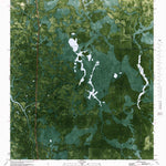 United States Geological Survey Fort Gadsden, FL (1981, 24000-Scale) digital map