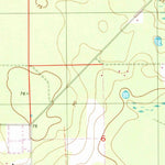 United States Geological Survey Fort Mccoy, FL (1999, 24000-Scale) digital map