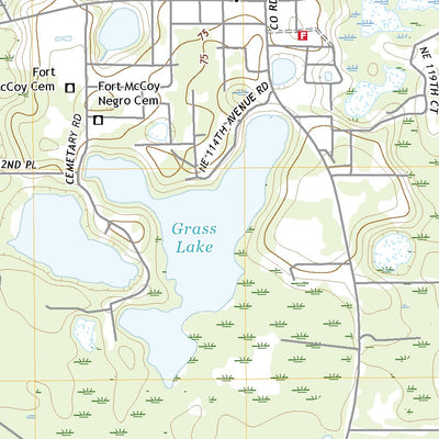 United States Geological Survey Fort McCoy, FL (2021, 24000-Scale) digital map