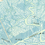 United States Geological Survey Fort Moultrie, SC (1943, 24000-Scale) digital map