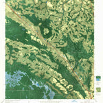 United States Geological Survey Fort Mudge, GA (1967, 24000-Scale) digital map