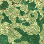 United States Geological Survey Fort Mudge, GA (1967, 24000-Scale) digital map
