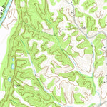United States Geological Survey Fort Pillow, TN (1972, 24000-Scale) digital map