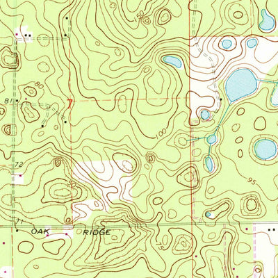 United States Geological Survey Fort White, FL (1969, 24000-Scale) digital map