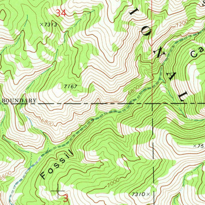 United States Geological Survey Fossil Canyon, ID (1970, 24000-Scale) digital map