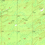 United States Geological Survey Foster City, MI (1956, 62500-Scale) digital map