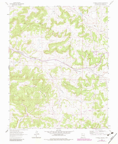 United States Geological Survey Fourmile Canyon, NM (1963, 24000-Scale) digital map