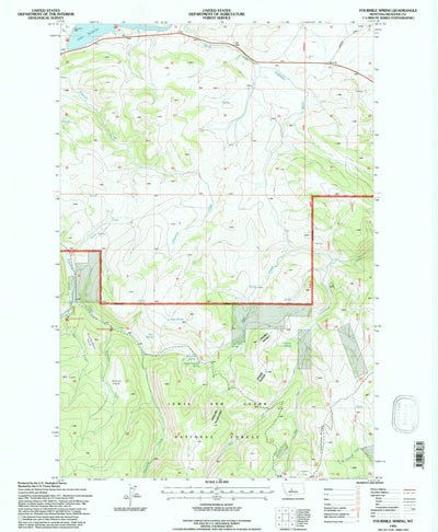United States Geological Survey Fourmile Spring, MT (1995, 24000-Scale) digital map