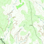 United States Geological Survey Franklin Bend, TX (1966, 24000-Scale) digital map