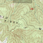 United States Geological Survey Frazier Mountain, CA (1995, 24000-Scale) digital map