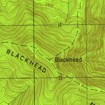 United States Geological Survey Freehold, NY (1945, 24000-Scale) digital map