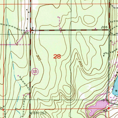 United States Geological Survey Freeland, WA (1998, 24000-Scale) digital map