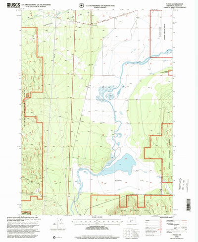 United States Geological Survey Fuego, OR (1998, 24000-Scale) digital map
