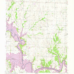 United States Geological Survey Gaines, MO (1953, 24000-Scale) digital map