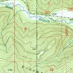 United States Geological Survey Galena Point, WA-ID (1996, 24000-Scale) digital map