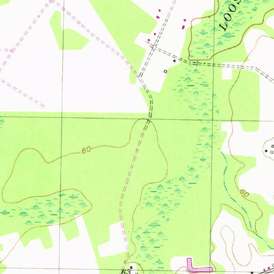 United States Geological Survey Galivants Ferry, SC (1948, 24000-Scale) digital map