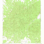 United States Geological Survey Gallo Mountains West, NM (1981, 24000-Scale) digital map