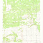 United States Geological Survey Gallo Spring Canyon NE, NM (1981, 24000-Scale) digital map