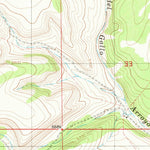 United States Geological Survey Gallo Spring Canyon NE, NM (1981, 24000-Scale) digital map