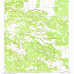 United States Geological Survey Gallo Spring Canyon, NM (1981, 24000-Scale) digital map