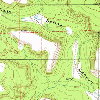 United States Geological Survey Gallo Spring Canyon, NM (1981, 24000-Scale) digital map